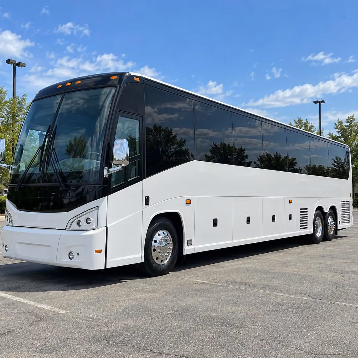 beaumont fan group transportation to houston sporting events